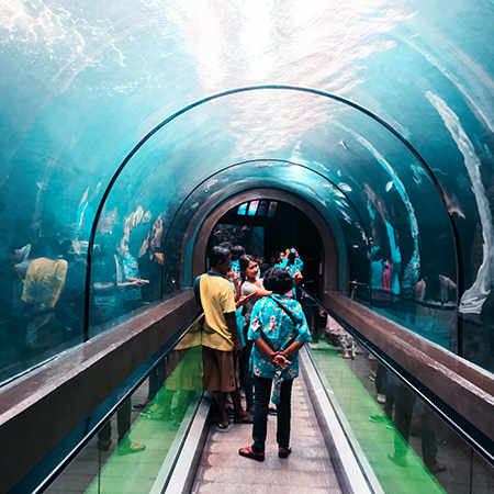 people walking through tunnel at the aquarium